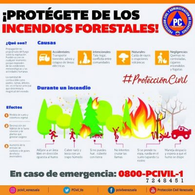 incendios-forestales-poster