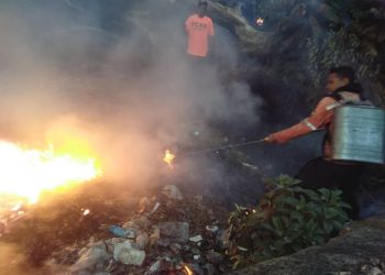 Se han combatido quince incidentes originados en terrenos baldíos de vegetación arbustiva.