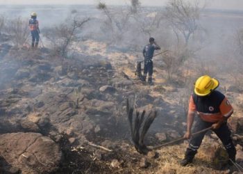 Multiples incendios forestales en México.