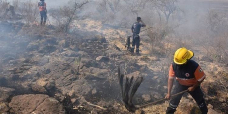 Multiples incendios forestales en México.