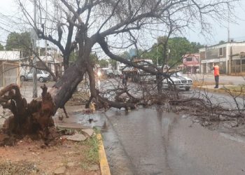 SNGR atendió incidencias por fuertes lluvias en Maracaibo