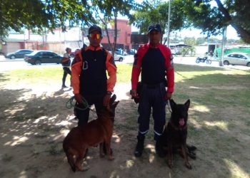 Municipio Mario Briceño Iragorry está creando una unidad canina (K9)