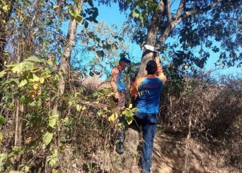 Protección en los Morros de San Juan