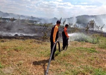 SNGR se mantiene activo ante incendios forestales y de vegetación