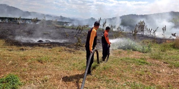 SNGR se mantiene activo ante incendios forestales y de vegetación