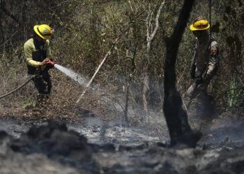 Extinguen incendio forestal en el parque Waraira Repano