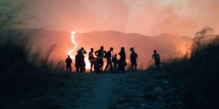 SNGR crea conciencia preventiva ante incendios forestales