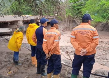 SNGR monitorea los estados andinos ante fuertes lluvias