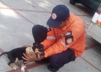 Brec llega a instalaciones de PC