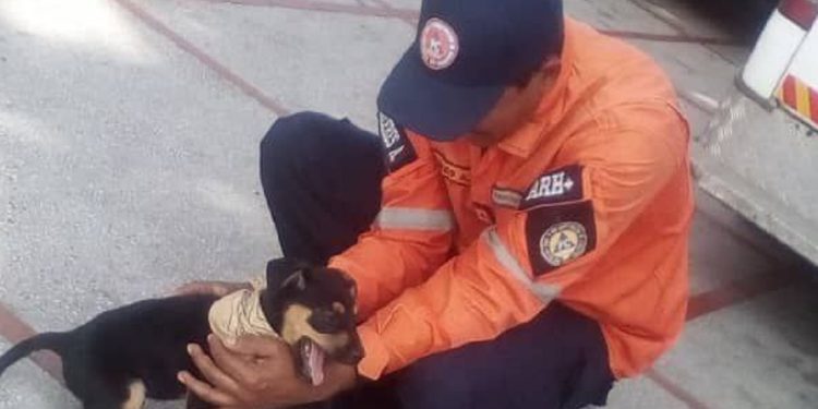 Brec llega a instalaciones de PC