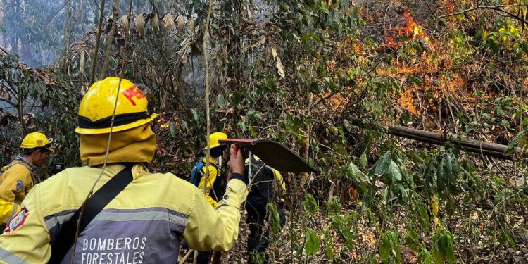 Fuerza de Tarea G/J Simón Bolívar atiende a comunidades del municipio San Isidro en Bolivia