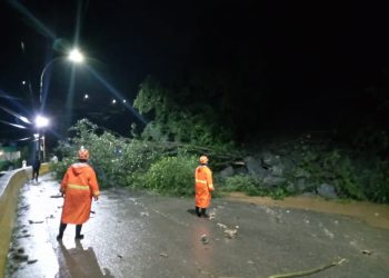 afectaciones por precipitaciones