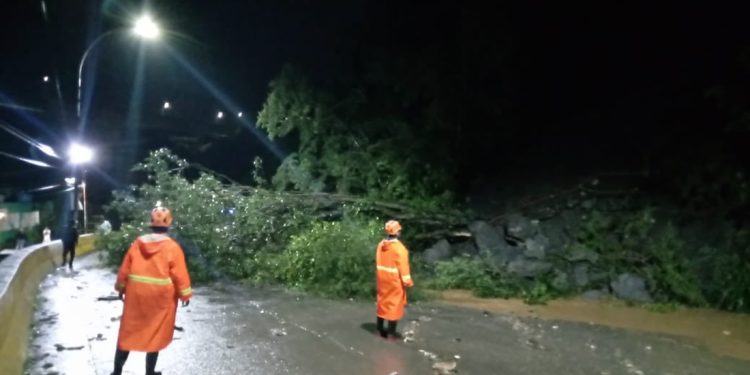 afectaciones por precipitaciones