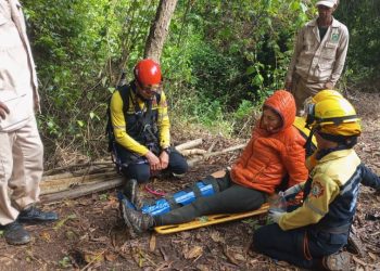 Rescatan a cuatro personas extraviadas en el Warairarepano