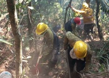 Pérez Ampueda: Hemos logrado atajar 978 incendios