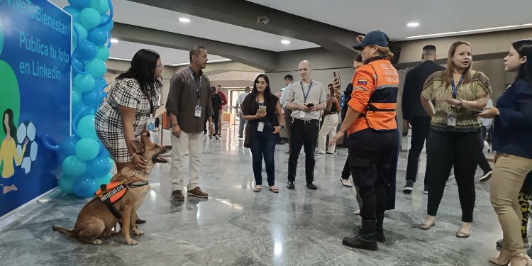 Protección Civil realizó demostración con la unidad K-SAR en BBVA Provincial
