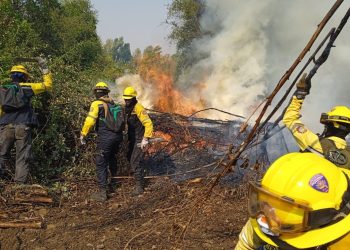 Gobierno Bolivariano mantiene control directo y permanente ante registro de incendios en el país