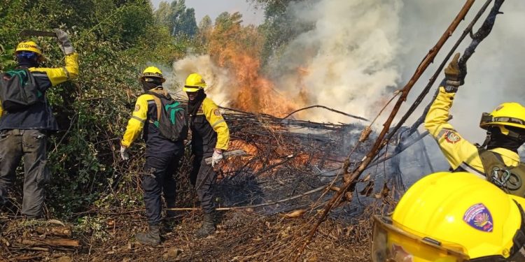 Gobierno Bolivariano mantiene control directo y permanente ante registro de incendios en el país