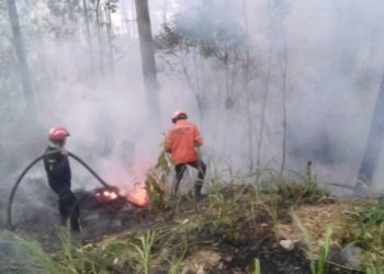 SNGR atendió 4 incendios forestales en Carabobo