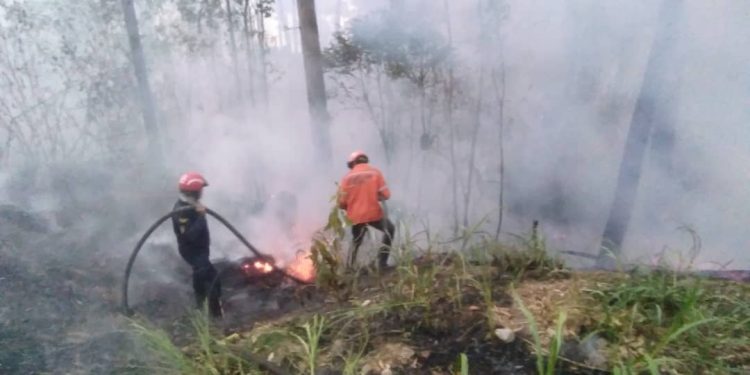 SNGR atendió 4 incendios forestales en Carabobo