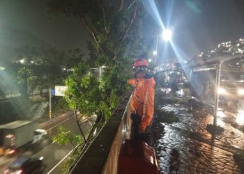 Sistema de Gestión de Riesgos activo por onda tropical N° 2