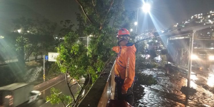Sistema de Gestión de Riesgos activo por onda tropical N° 2