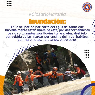 CARRUSEL GLOSARIO 2-06