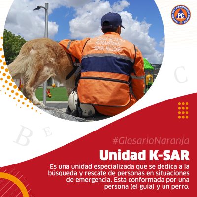 CARRUSEL GLOSARIO 3-11