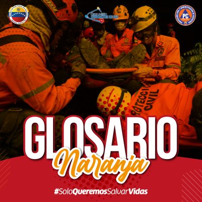 CARRUSEL GLOSARIO 3_Mesa de trabajo 1 copia 2