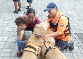 Protección Civil La Guaira esteriliza a sus caninos y apoya jornada de esterilización en caninata