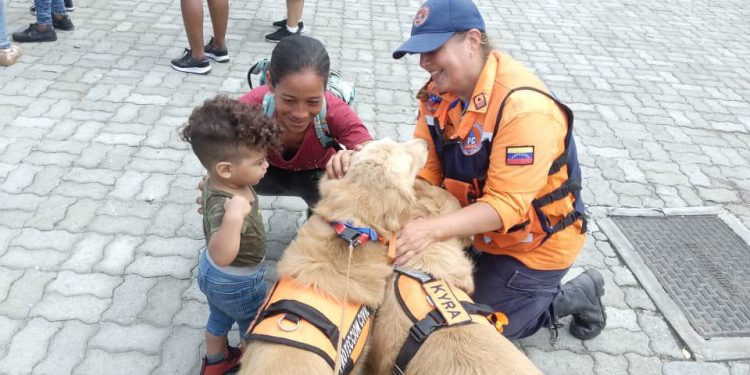 Protección Civil La Guaira esteriliza a sus caninos y apoya jornada de esterilización en caninata