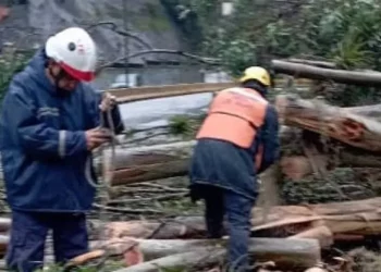 Despliegue del SNGR en Los Salias tras intensas lluvias: Árboles caídos y muro derrumbado preocupan en Miranda