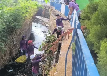 Acciones estratégicas y coordinadas para proteger a la población de Guárico ante fuertes lluvias