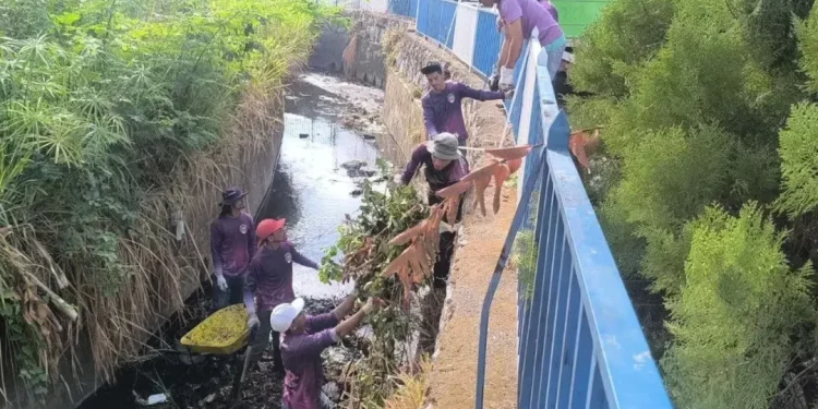 Acciones estratégicas y coordinadas para proteger a la población de Guárico ante fuertes lluvias