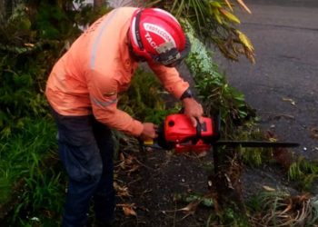 Protección Civil Táchira realizó labores de mitigación de riesgo en las adyacencias del Colegio de Periodistas
