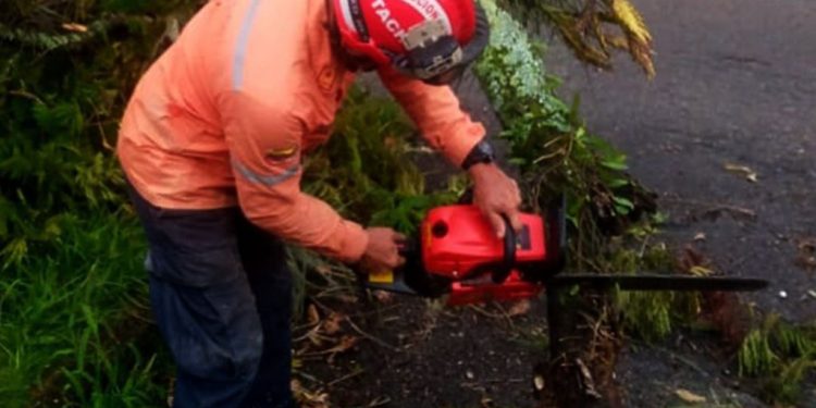 Protección Civil Táchira realizó labores de mitigación de riesgo en las adyacencias del Colegio de Periodistas