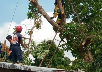 Protección Civil realizó acciones de mitigación de riesgo en Guárico