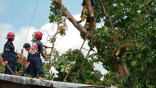 Protección Civil realizó acciones de mitigación de riesgo en Guárico