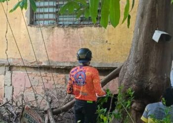 REDAN Guayana realiza labores de mitigación de riesgos en una vivienda