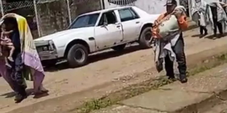 SNGR rescató a tres niños de un enjambre de abejas africanas en Monagas