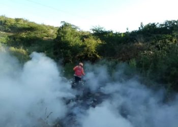 Protección Civil extinguió incendio en la autopista Cimarrón Andresote del estado Lara
