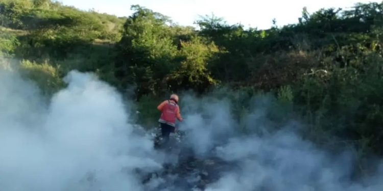 Protección Civil extinguió incendio en la autopista Cimarrón Andresote del estado Lara