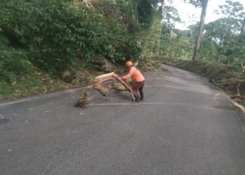 DNPCAD desplegó operativo de despeje de vías en Trujillo