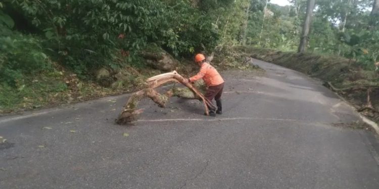 DNPCAD desplegó operativo de despeje de vías en Trujillo