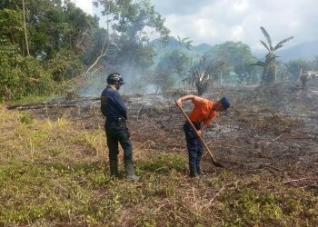 Protección Civil Rómulo Costa controla incendio de vegetación en el estado Táchira