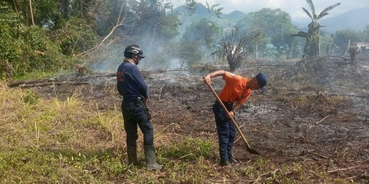 Protección Civil Rómulo Costa controla incendio de vegetación en el estado Táchira