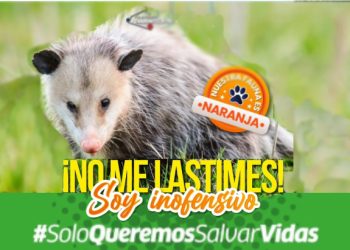 DNPCAD inicia campaña “Nuestra fauna es naranja”