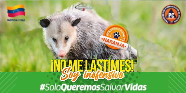 DNPCAD inicia campaña “Nuestra fauna es naranja”