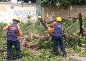 Protección Civil realizó labores de mitigación de riesgo en Lara