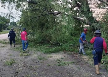SNRG removió residuos vegetales tras fuertes lluvias en el estado Trujillo